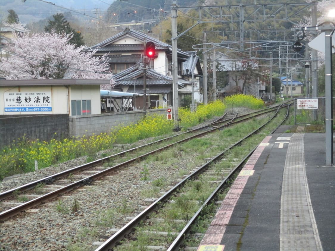 캐논 익시 Canon IXY 200 레드(익서스 IXUS 185) 상품이미지5