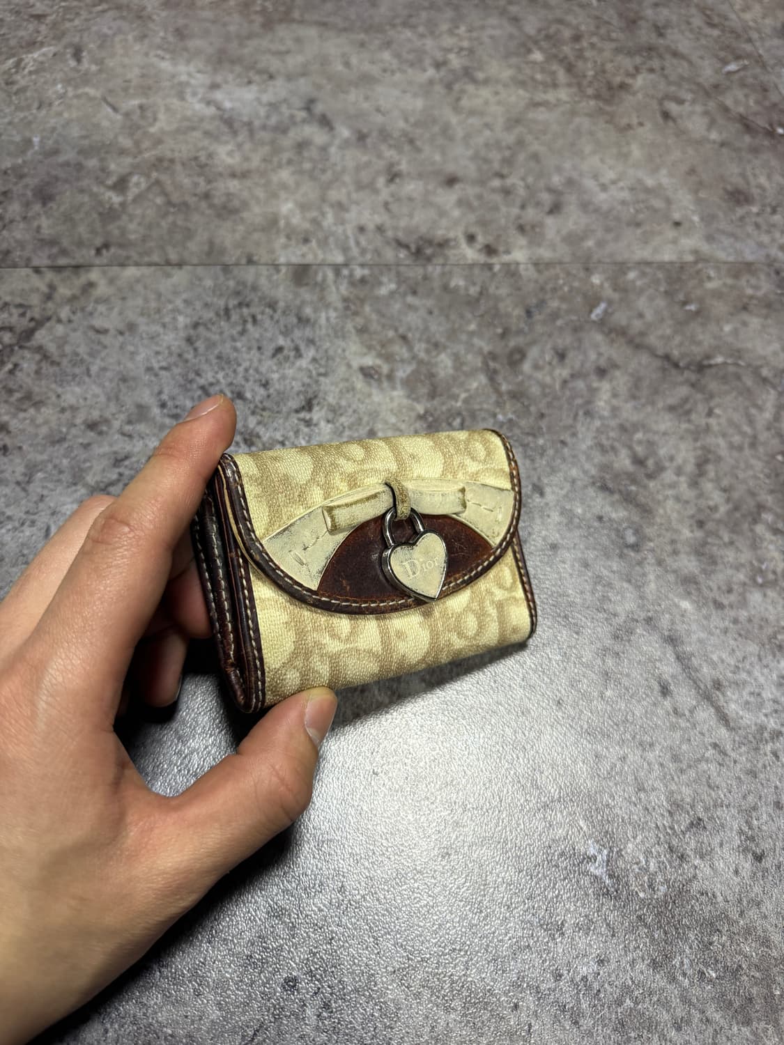 디올 오블리키 키지갑 카드지갑 상품이미지1