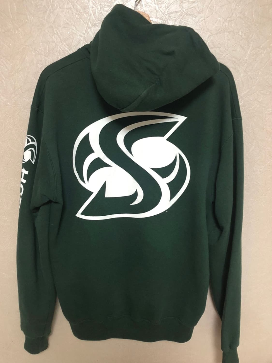 챔피온 후드 팝니다 상품이미지3