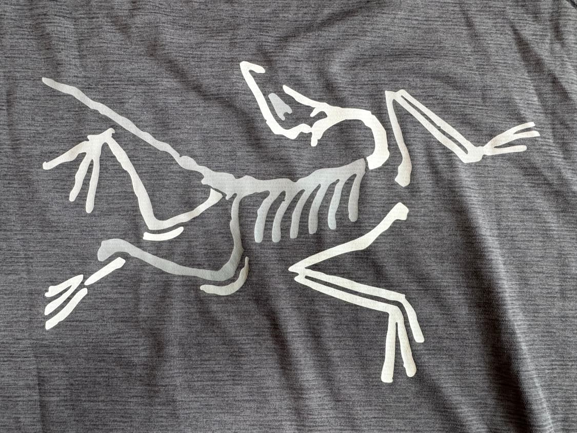 아크테릭스 테마 크롭 로고 반팔티 새제품 정품 상품이미지3