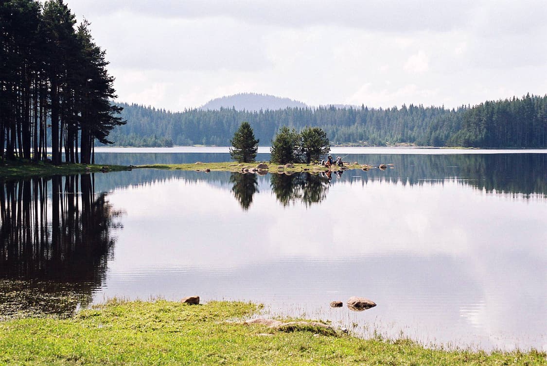 작례O 하이엔드 니콘 f70 + 니콜 28-80mm 필름카메라 빈티지 필 상품이미지6