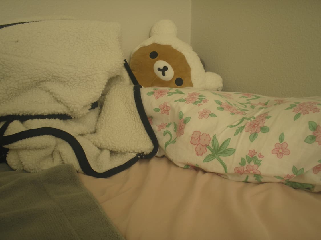 올림푸스 c-170 상품이미지2