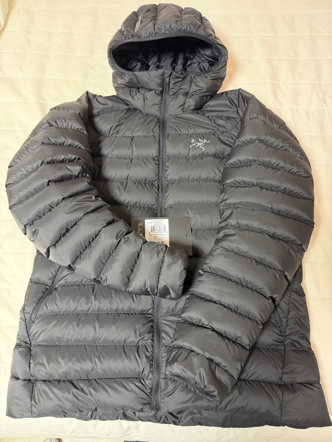 아크테릭스 세륨 후디 블랙 L 상품이미지1