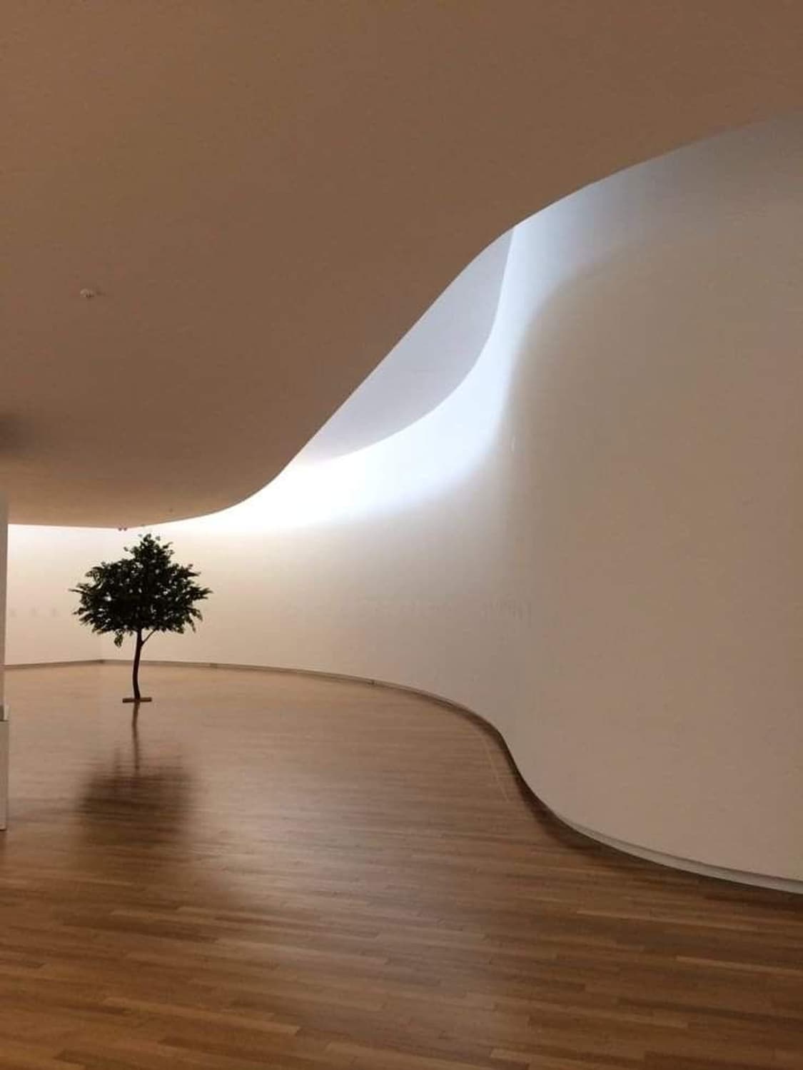 Mmlg 블루종 번장 1209 상품이미지1