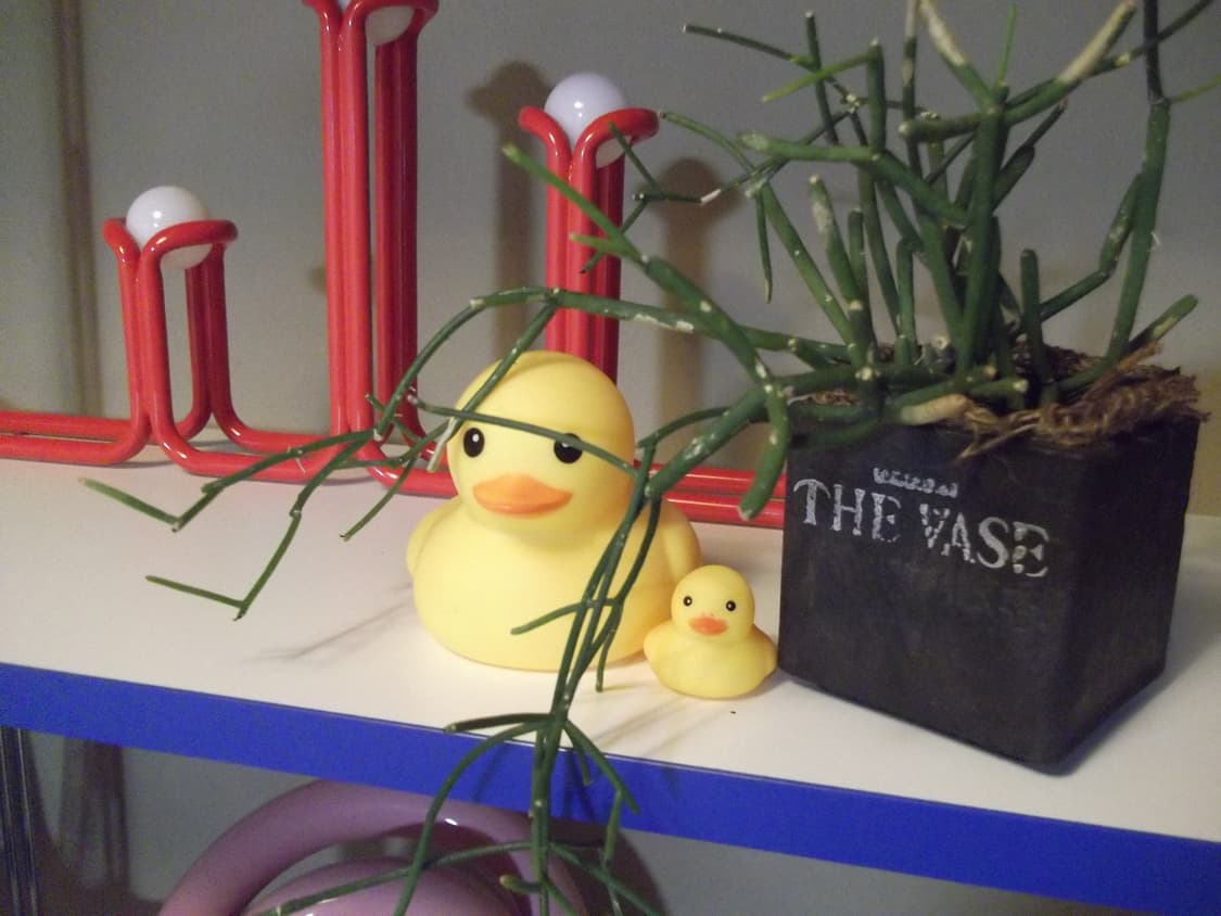 ✨새상품/풀박스✨후지필름 파인픽스 AV150 메탈릭 실버 상품이미지9