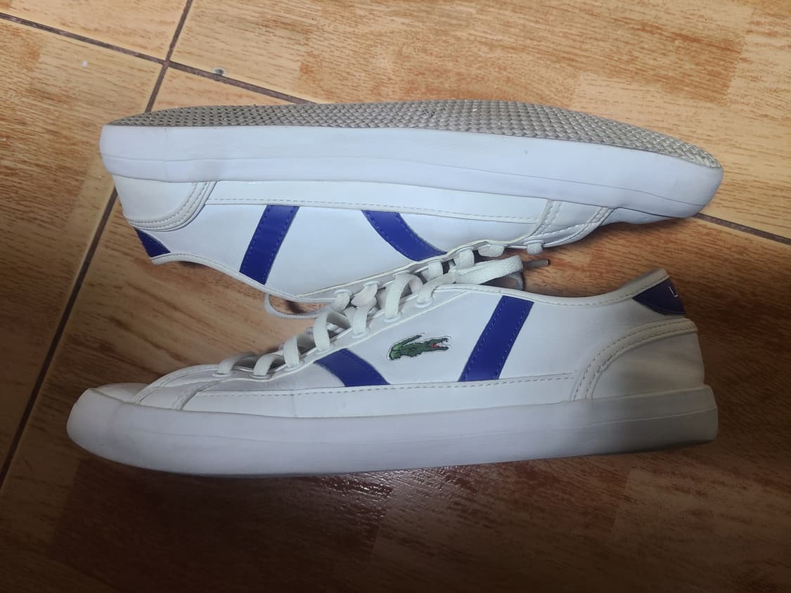 라코스테 사이드라인 270(265추천) 상품이미지5