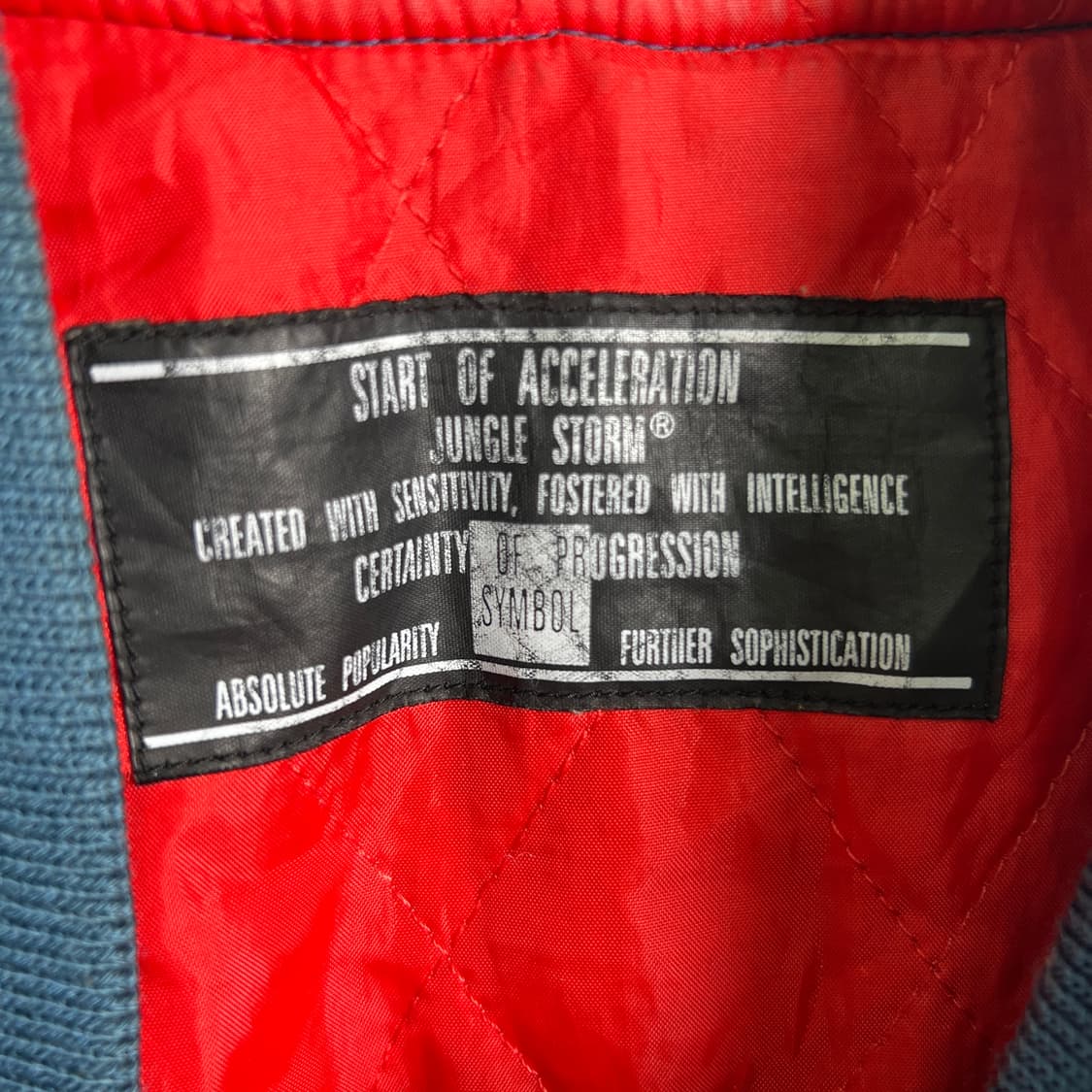 정글 스톰 블루 드래곤 스카쟌 자켓 상품이미지3