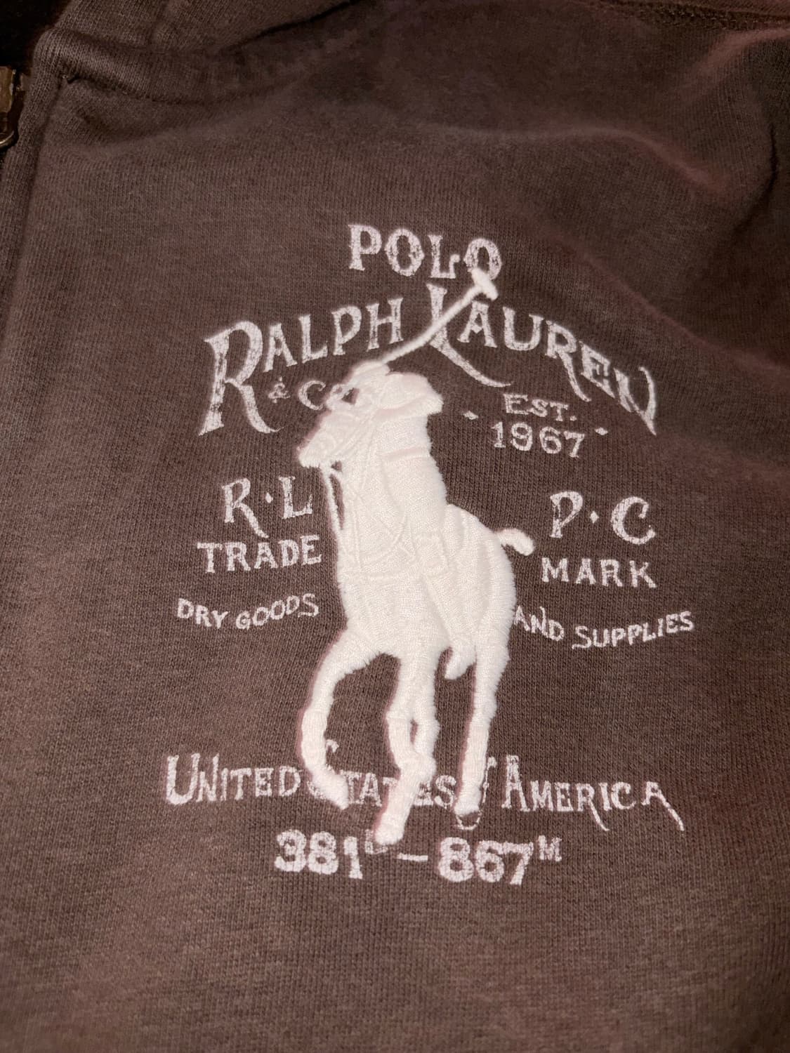 폴로 빅포니 성조기 후드집업 상품이미지2