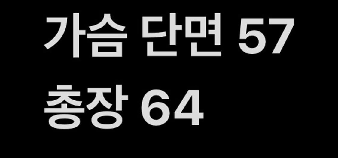 [ 정품/L ] 디스이즈네버댓 프린팅 데님 자켓 b15 상품이미지8