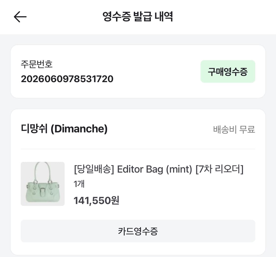 디망쉬 에디터백 민트 상품이미지7