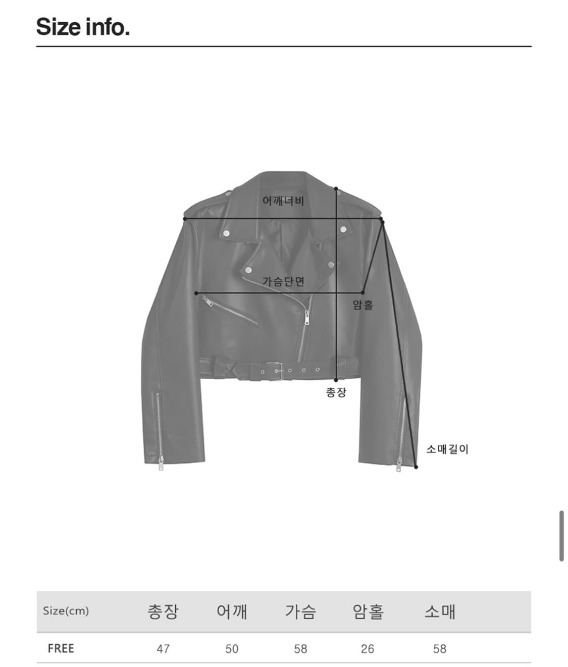 크롭 라이더 레더 자켓 상품이미지3