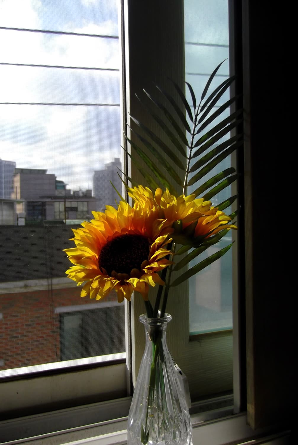 (바로사용 가능 / 작업물o) 후지필름 FinePix t350 상품이미지4