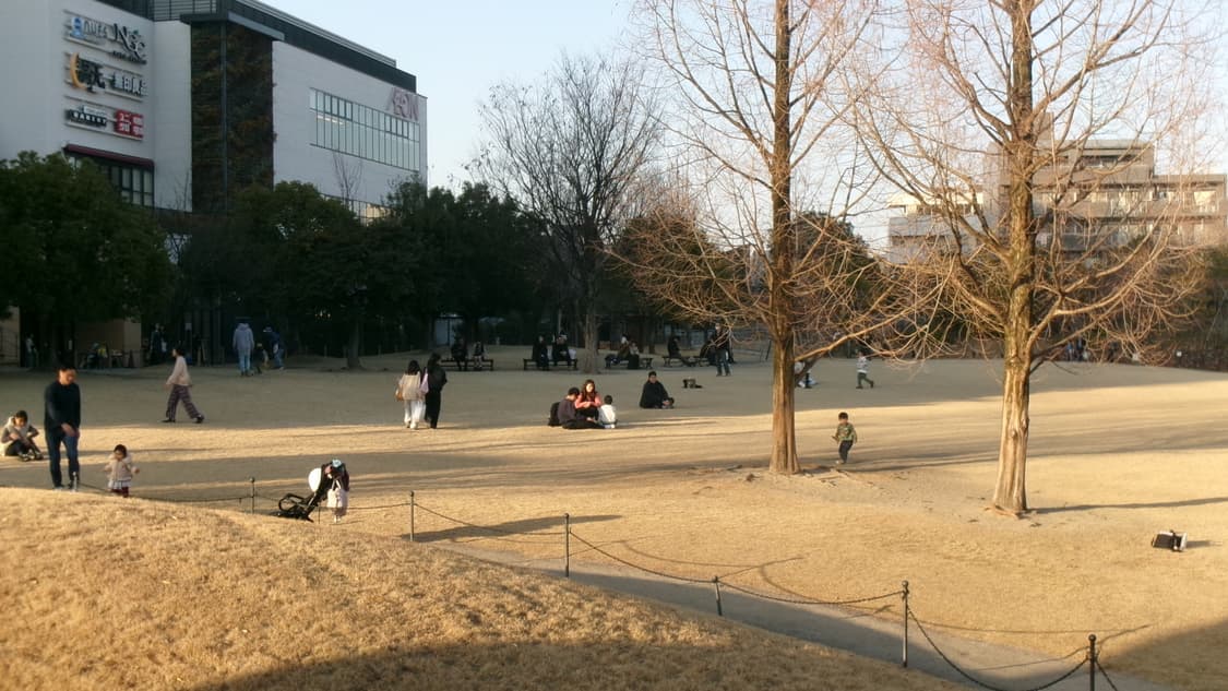 아이폰5c 블루 32g 상품이미지4