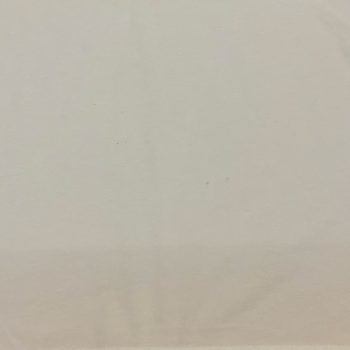 칼하트 로고 반팔티 상품이미지4