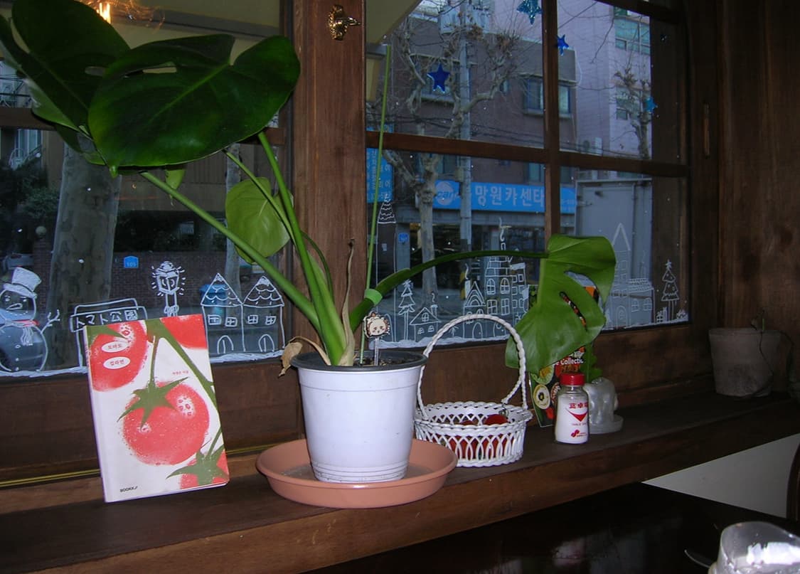 (상태 매우 좋음) 니콘 쿨픽스 4600 빈티지 디카 카메라 상품이미지5