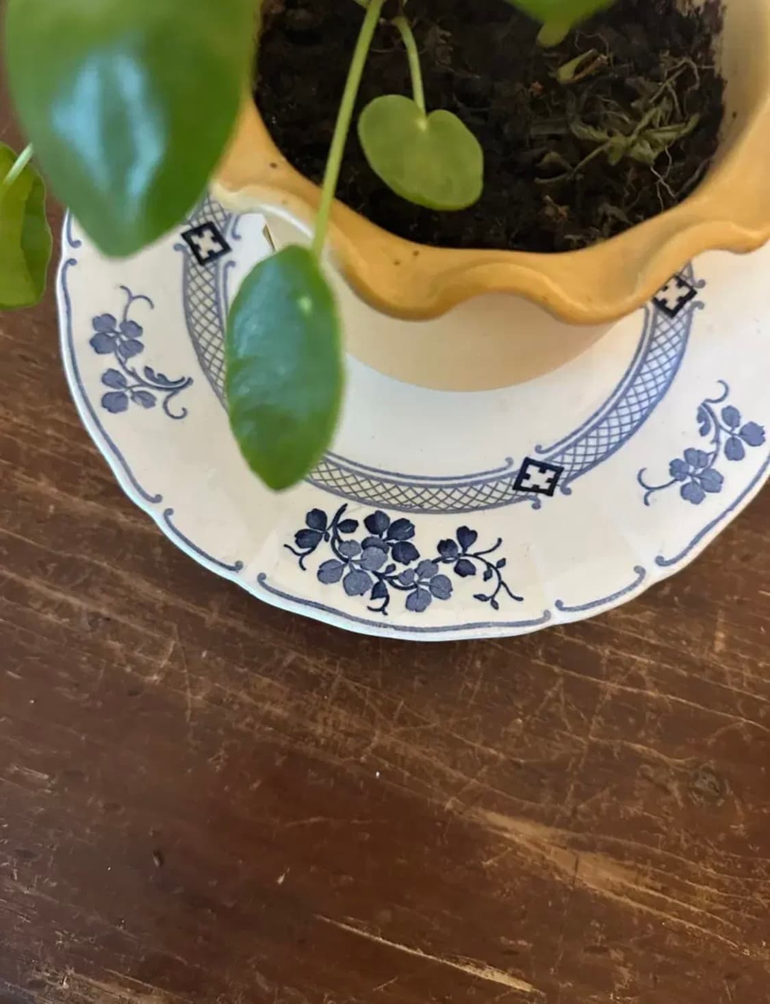 독일)빈티지 빌레로히앤보흐 꽃접시 상품이미지6