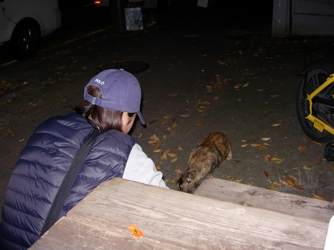 니콘 쿨픽스5200 (작례O) 상품이미지10