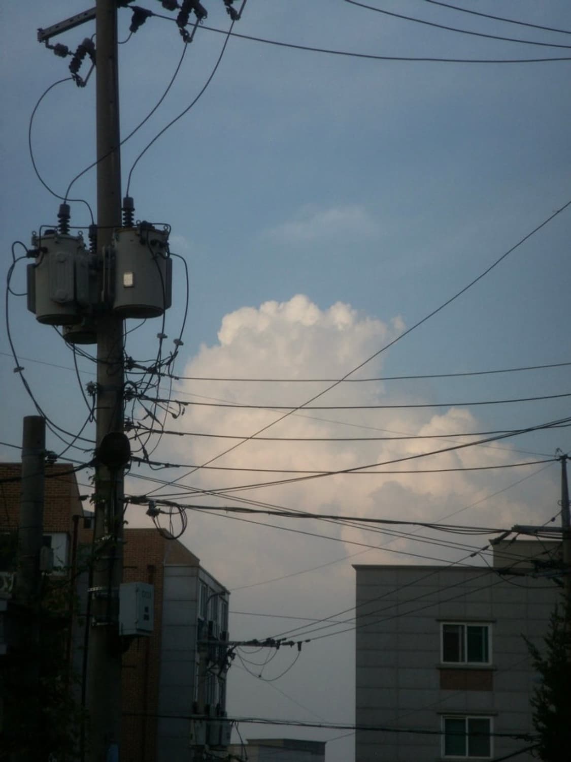 ☆한국어☆도킹스테이션☆ 미놀타 디미지 X1 / 빈티지디카 상품이미지10