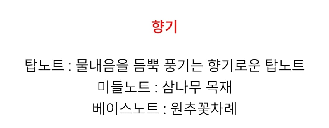 돌체앤가바나 DG 1 르 바틀러 오드뚜왈렛 100ml 상품이미지2
