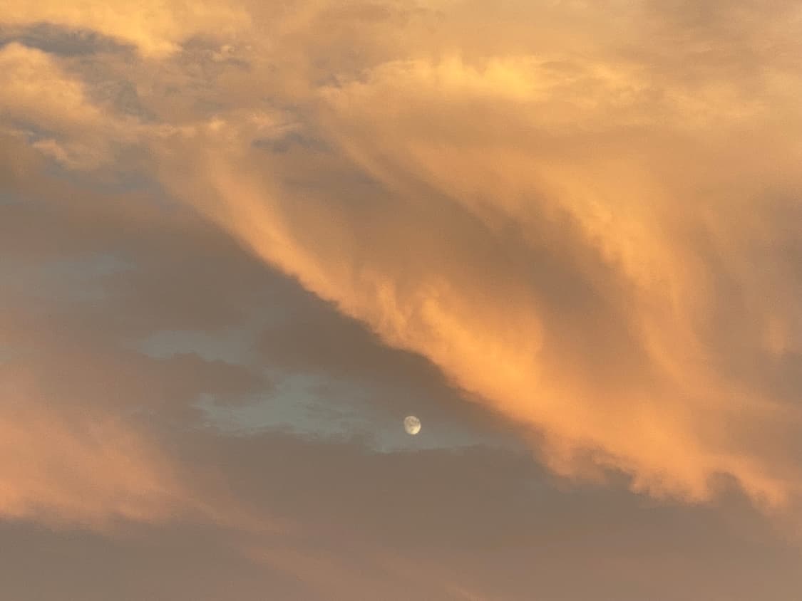 결제 상품이미지1