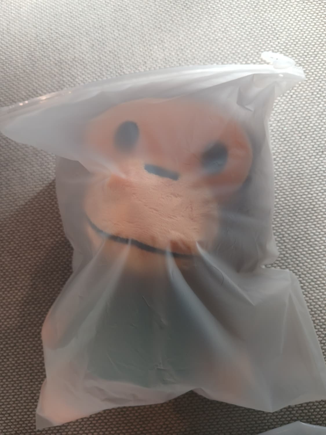 스타벅스 ×베이프 마일로 가방 상품이미지2