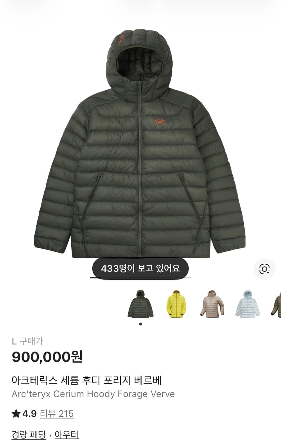 (넬슨택L)아크테릭스 세륨 포리지 베르베 새상품 상품이미지1