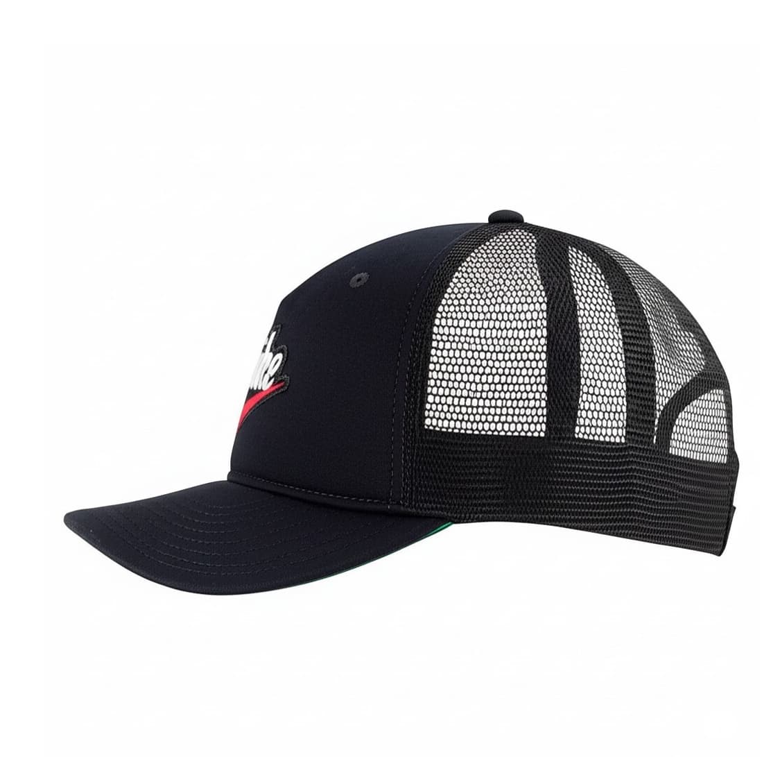 NIKE 나이키 패치 검빨 클래식 스우시 볼캡 모자 상품이미지4