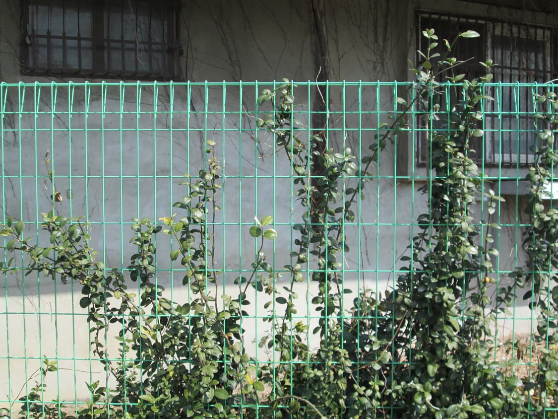 (작례o)캐논 파워샷 a2300 빈티지 디카 상품이미지10