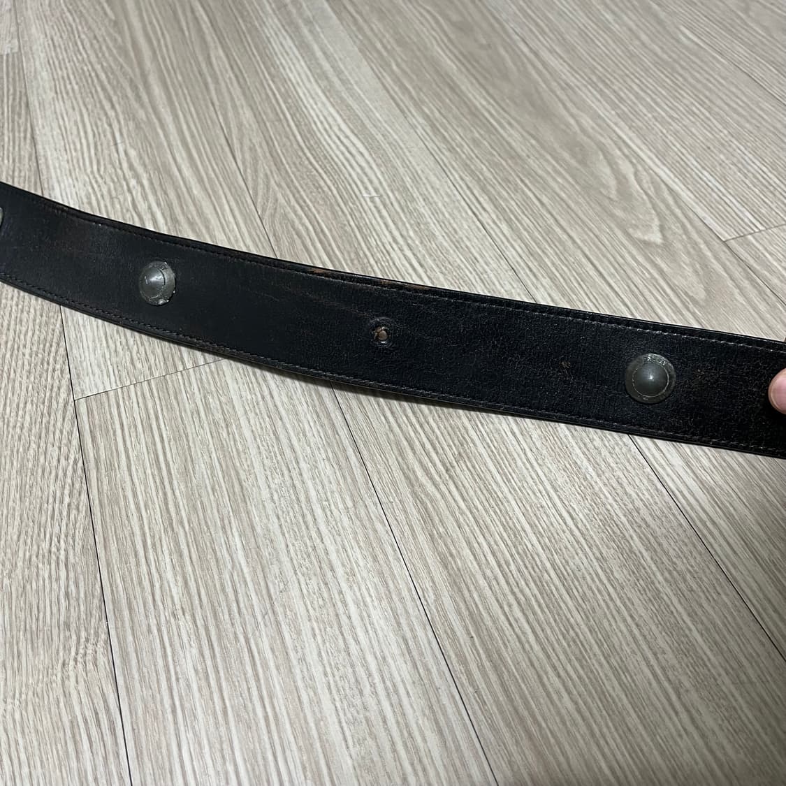오클리 카우레더 벨트 상품이미지4