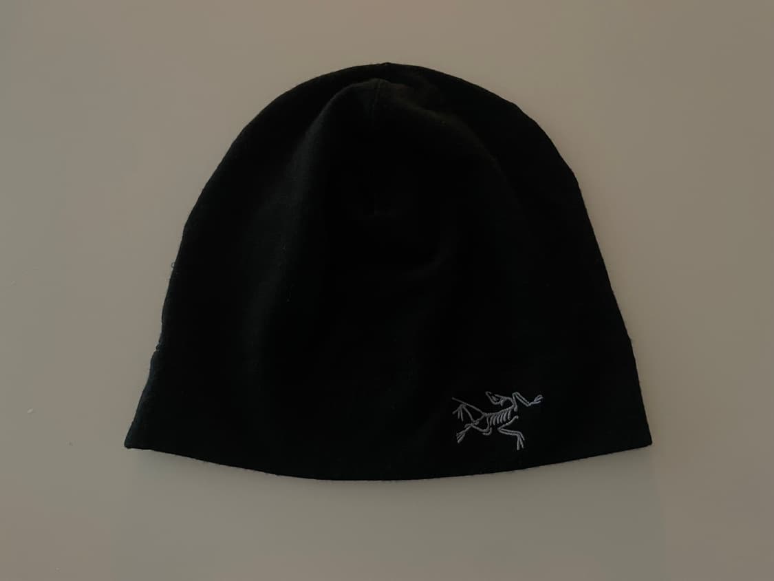 아크테릭스 비니 L/XL 상품이미지4