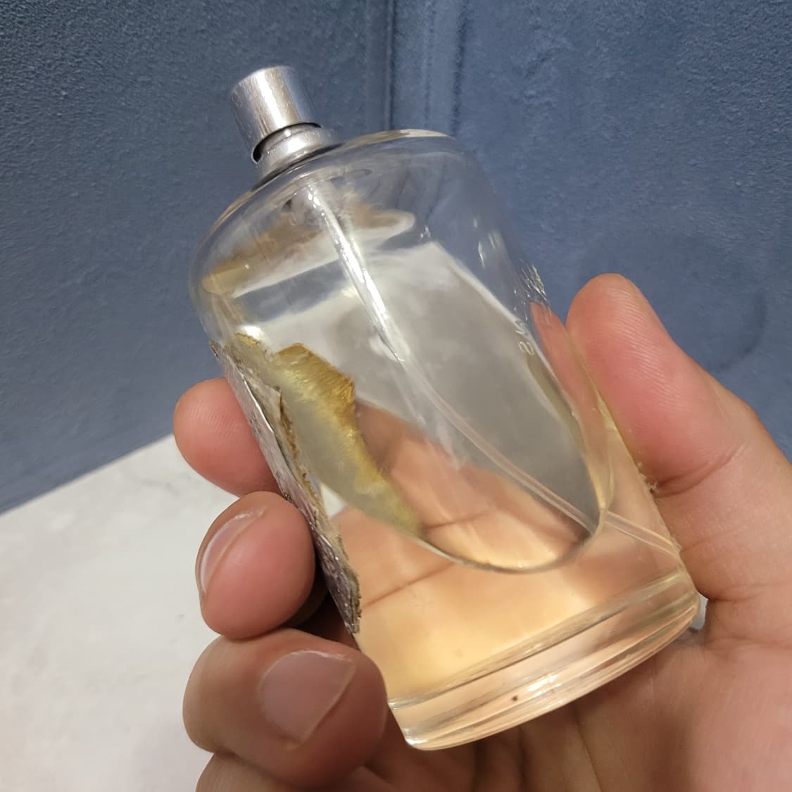 펜할리곤스 쥬니퍼 슬링 EDT 100ml 향수 (K) 상품이미지5