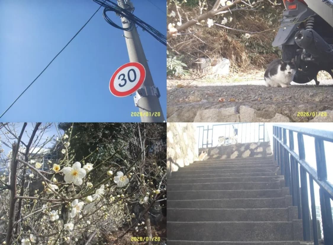 작례,결과물 O 삼성 케녹스 KENOX #1 빈티지 디지털 카메라 디카 상품이미지10