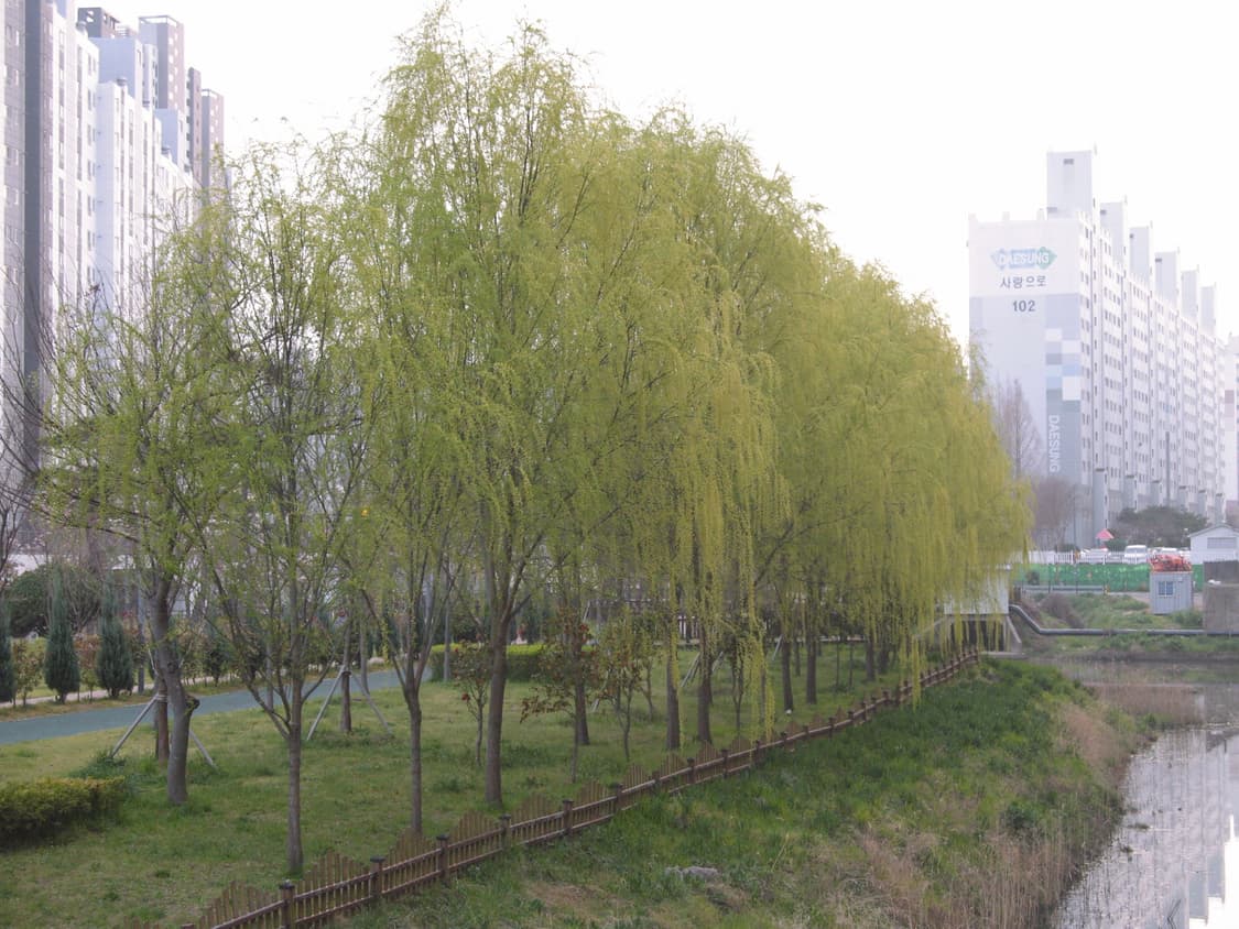 캐논 파워샷 A640 상품이미지6