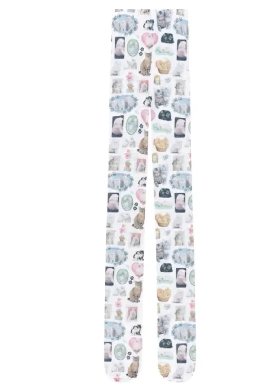 애슐리윌리엄스 캣 고양이 스타킹 상품이미지1