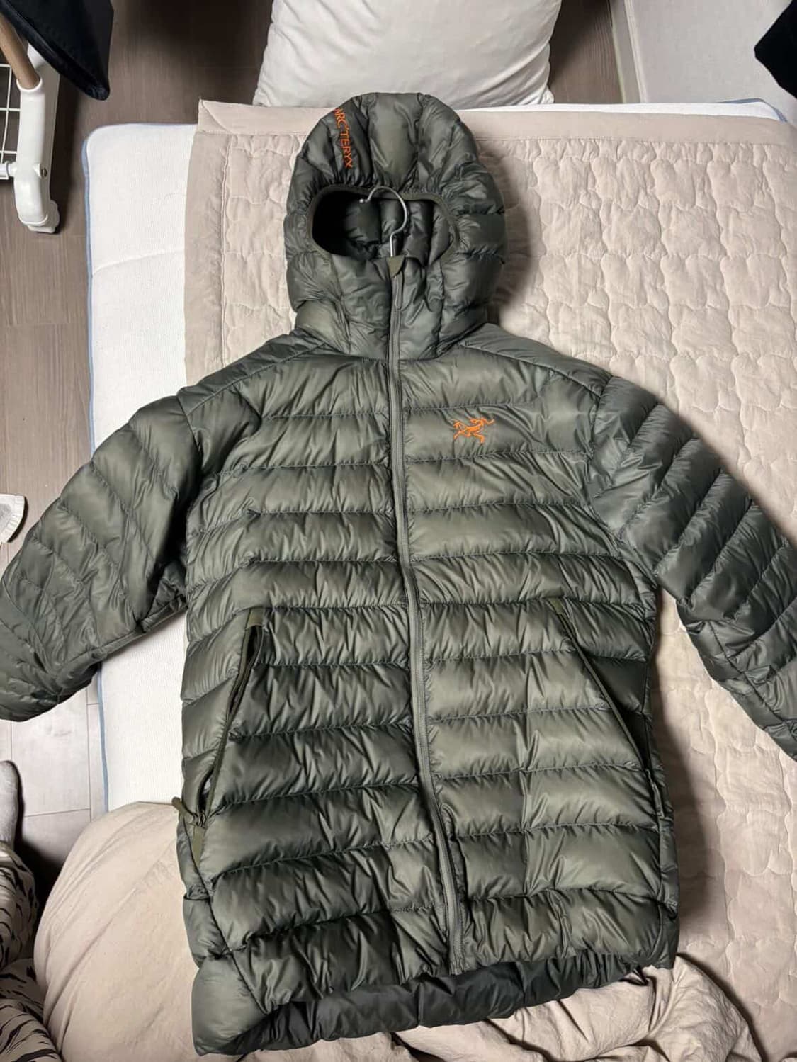 아크테릭스 세륨 후디 포리지 베르베 m 상품이미지3