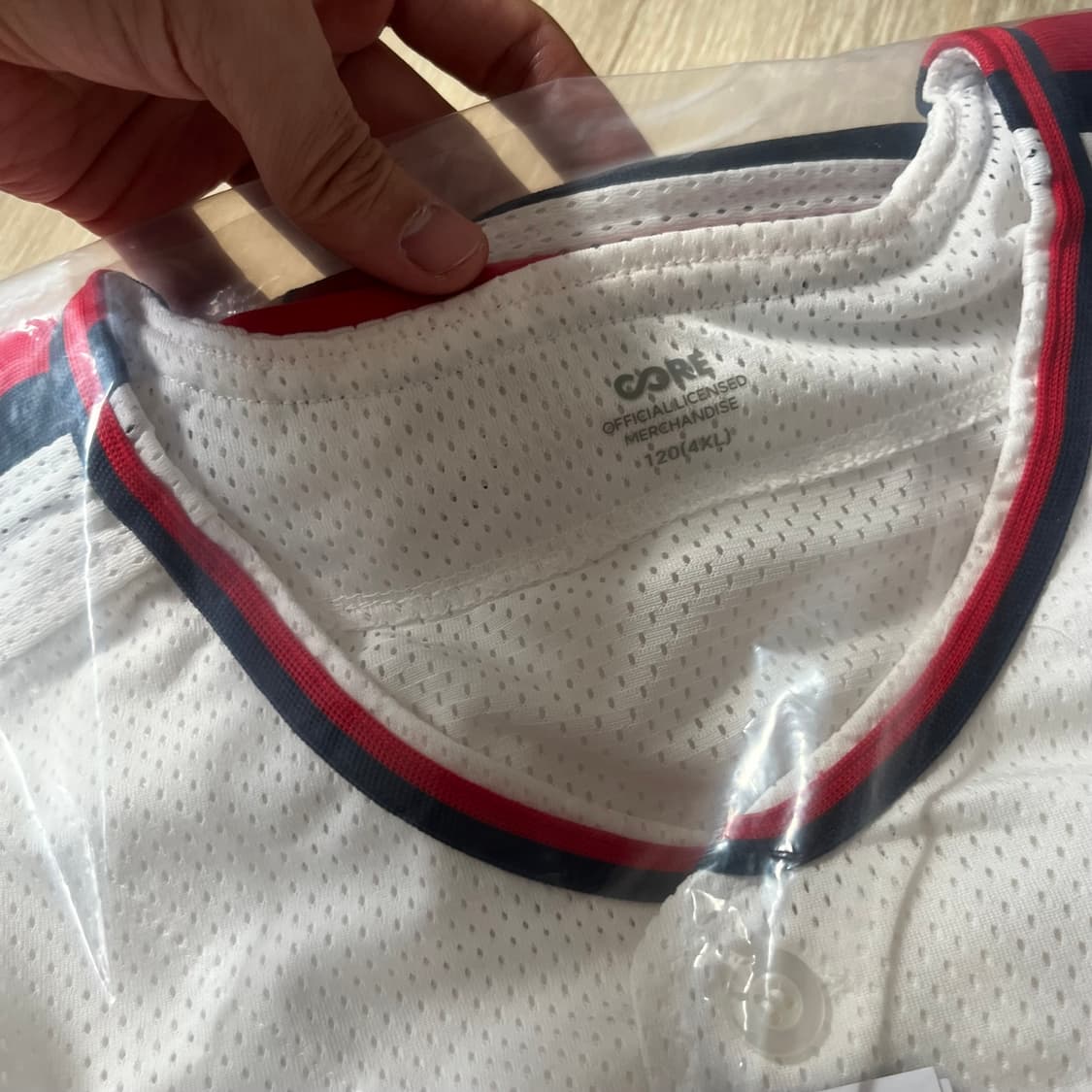 (4XL / 120) 새상품 롯데 자이언츠 레플리카 챔피언 홈 져지 상품이미지5