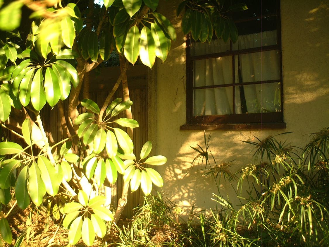 🌿레트로📸  후지필름 FinePix 4500 퍼플 상품이미지7