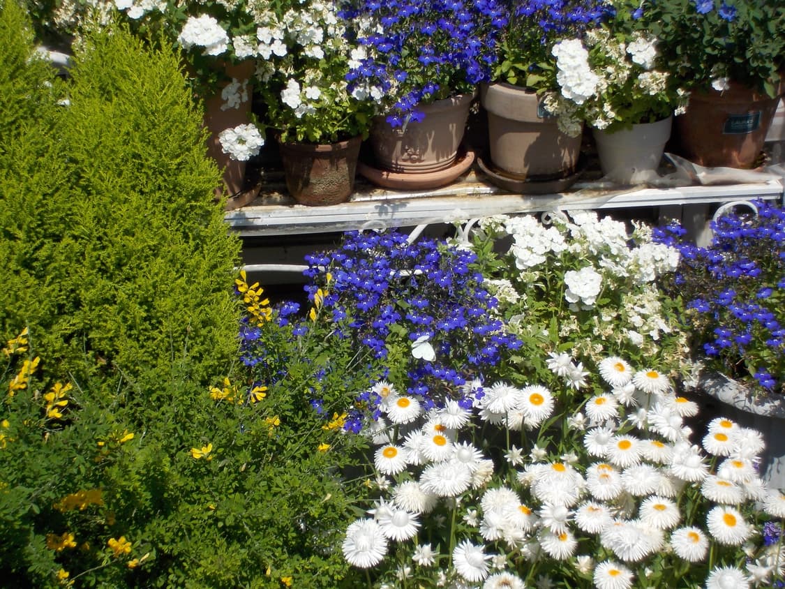 소프트포커스&와이파이!) Nikon Coolpix S3700 디카 상품이미지6