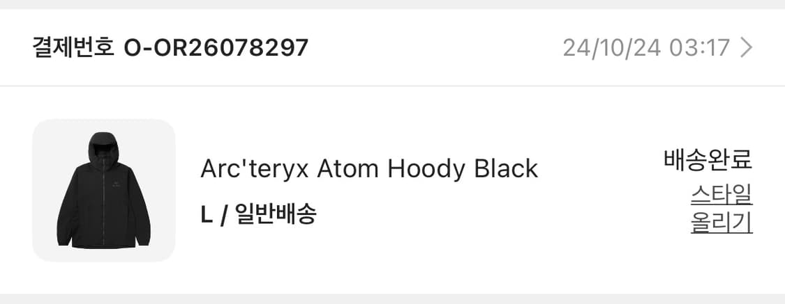 아크테릭스 아톰 후디 상품이미지2