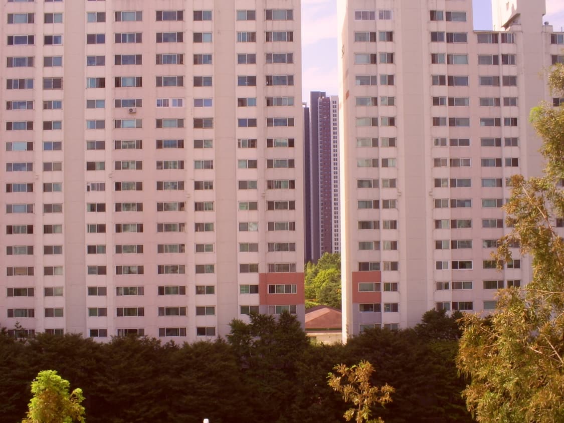 캐녹스 d503디카 상품이미지5