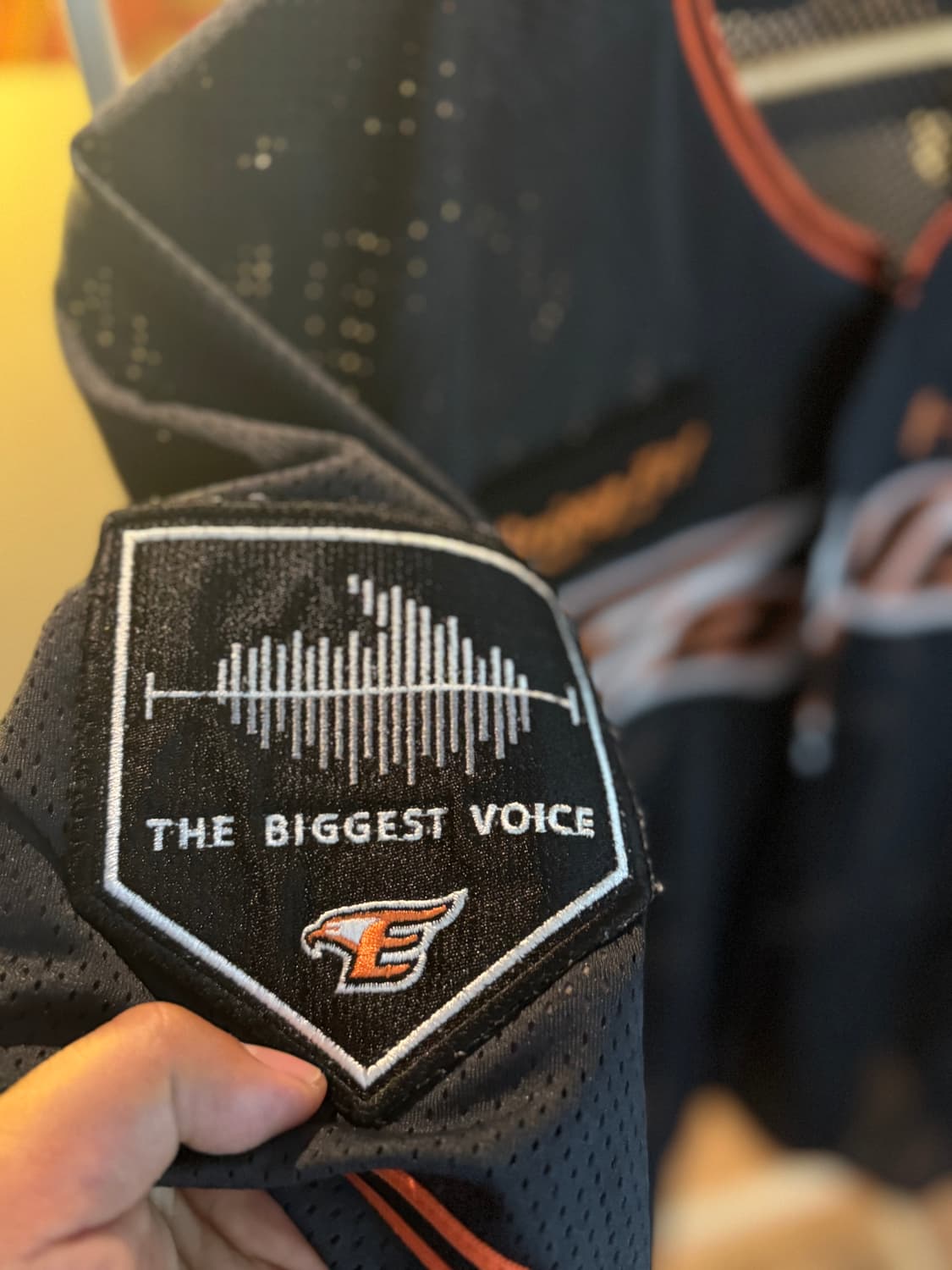 한화이글스 수어캠페인 패치 유니폼 110 상품이미지2