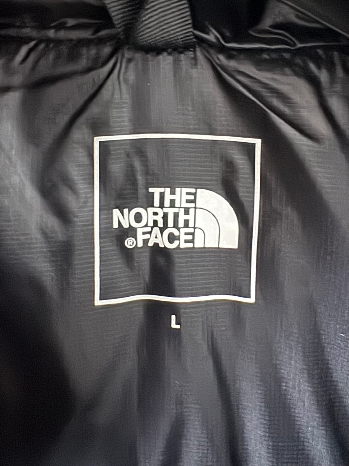 노스페이스 경량 패딩 일본판 L 팝니다 상품이미지2