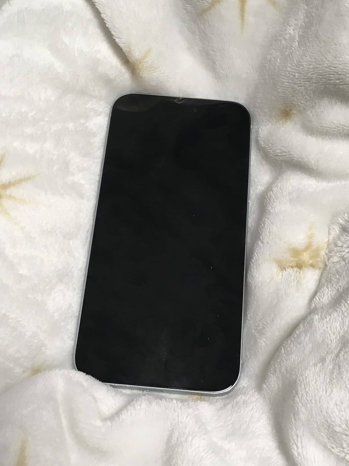 아이폰15플러스 256GB 블루 상품이미지8