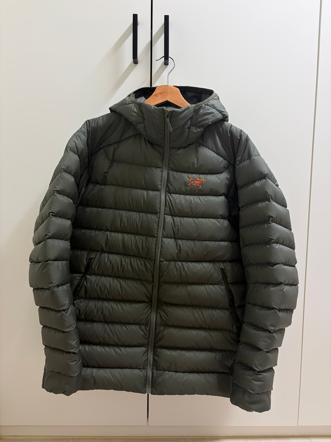 아크테릭스 세륨 후디 포리지 베르베 L 상품이미지1