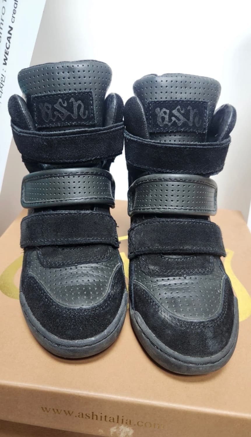 ASH 아쉬탈리아 아쉬 보위 37 상품이미지2