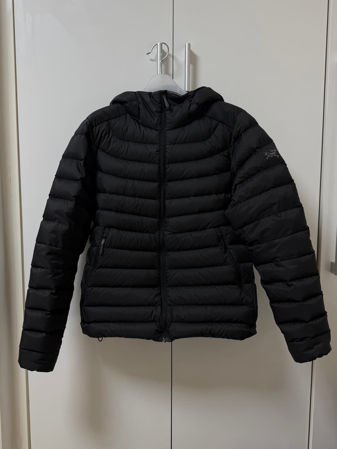 아크테릭스 세륨 후디 s 상품이미지1