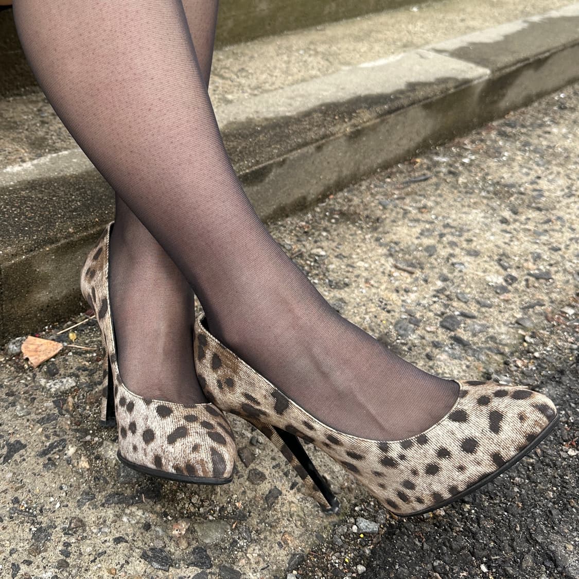 00s 돌체앤가바나 치타 프린트 펌프스 상품이미지10