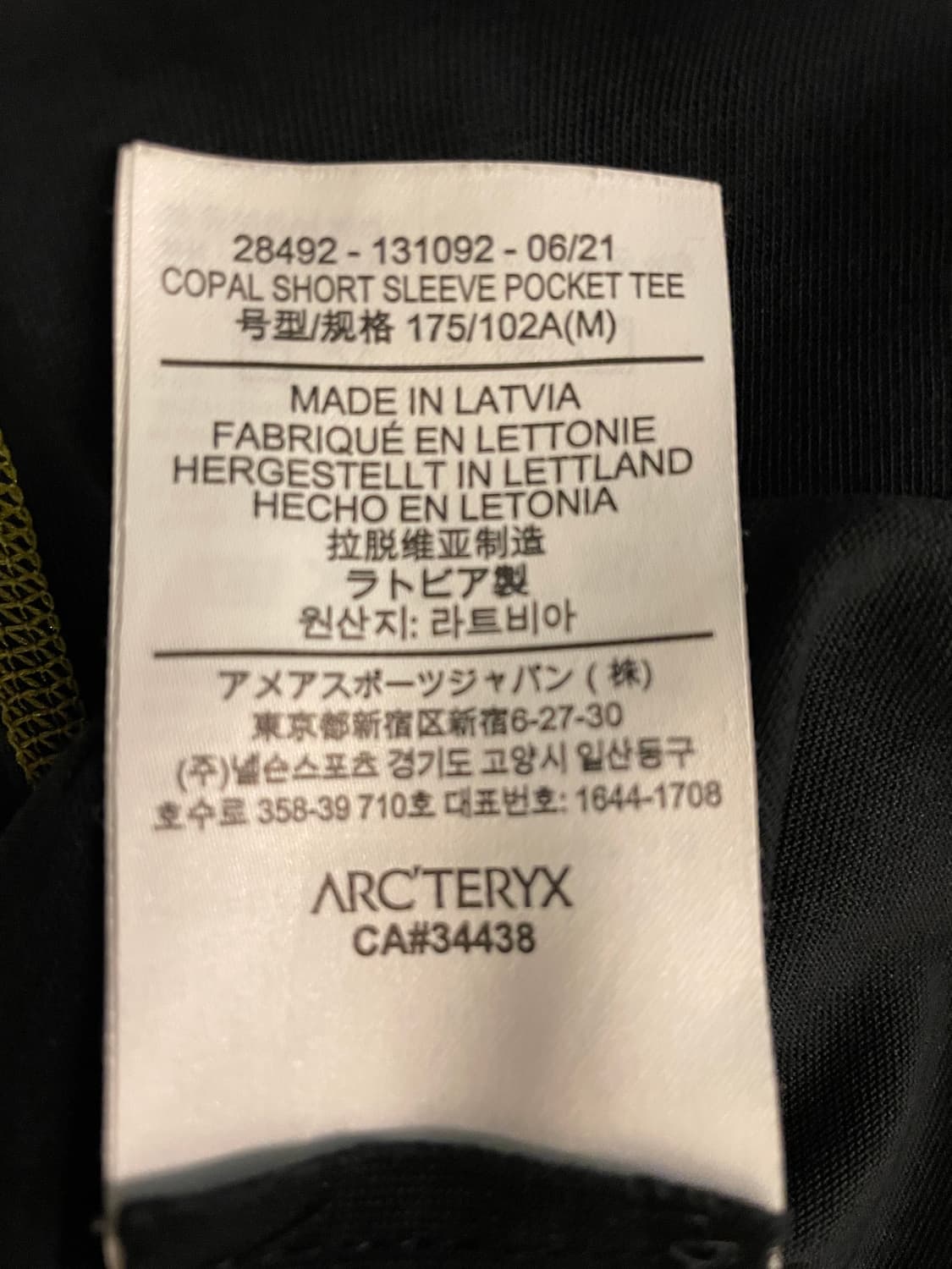 아크테릭스 시스템_A 코팔 숏 슬리브 포켓 티 상품이미지6