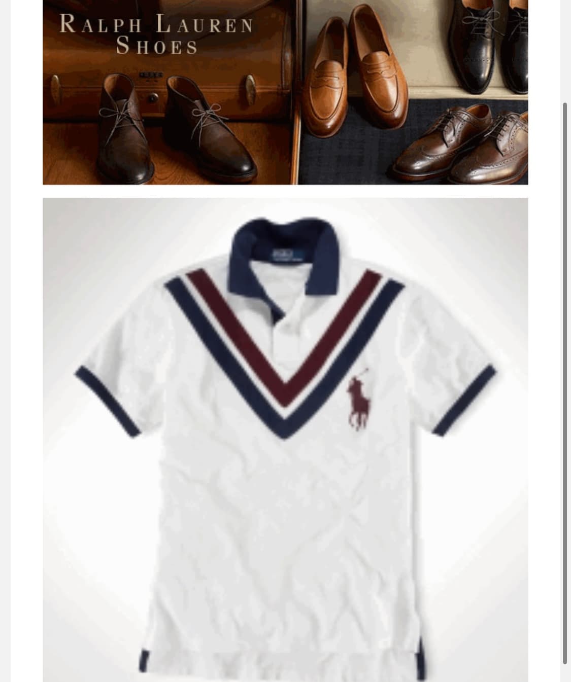 폴로 랄프 로렌 의 빅 포니 카라티 상품이미지2