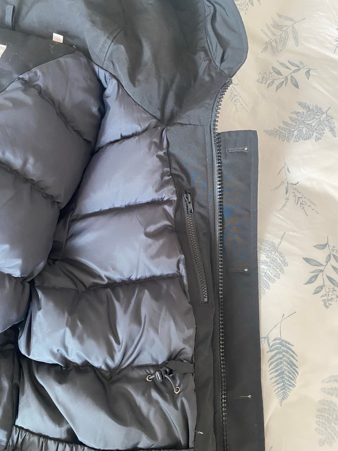 Danton 후드패딩 판매합니다 상품이미지4